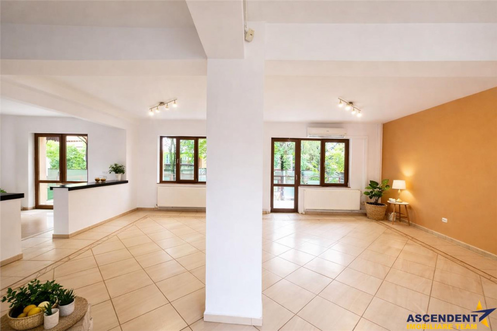 Vila impetuoasa pe 700mp teren:Spatiu versatil pentru locuin