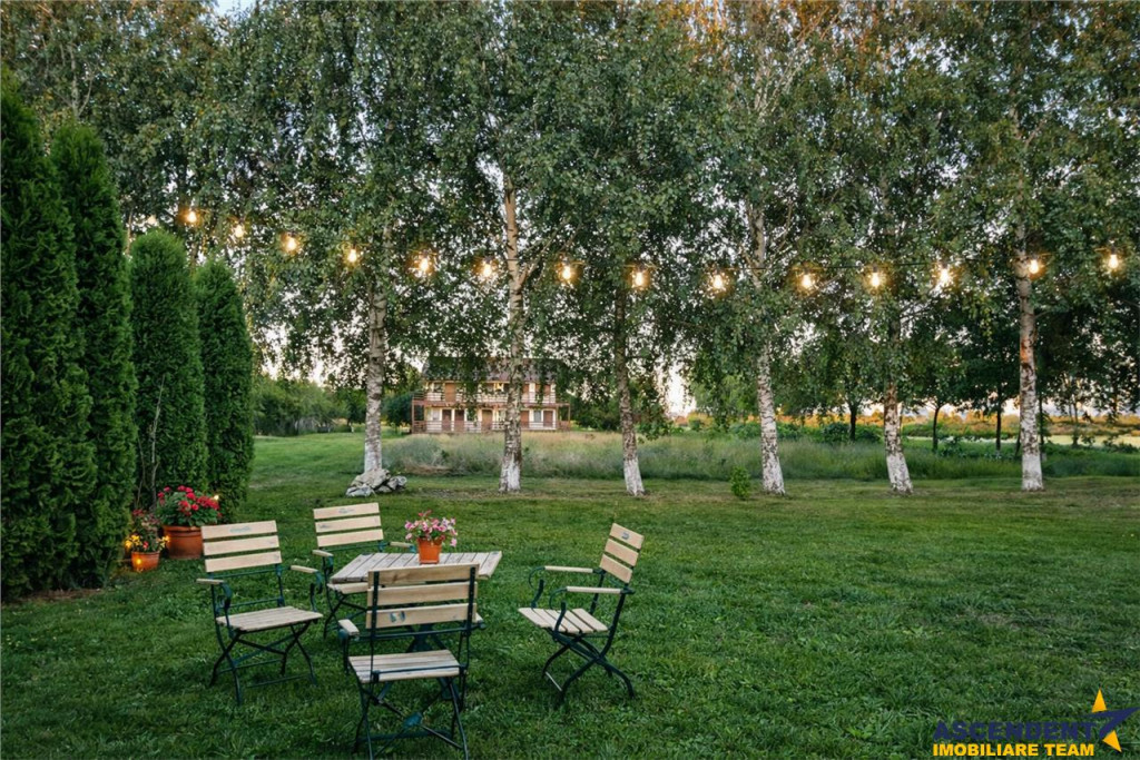 3D! La DN, Spatiu restaurant comercial activitati divertis