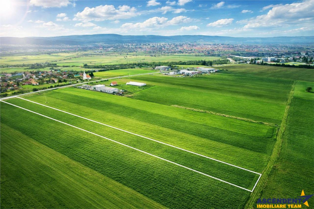 FILM! Teren intravilan 7.850 mp, Chilieni, Sfantu Gheorghe