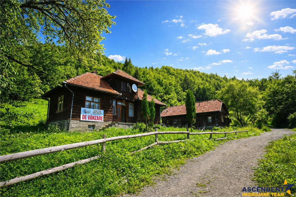 FILM! Casa traditionala pe domeniu de 4.300mp teren, Bran -