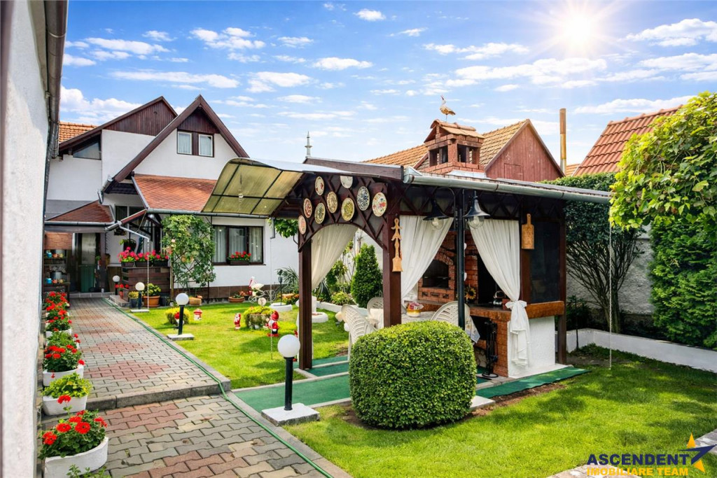 FILM 3D! Intre traditie si modern, un camin cu personalitat