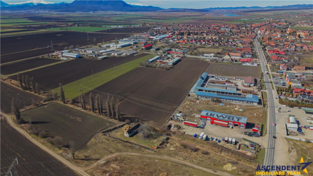 FILM! 30.000mp teren intravilan, Central, Halchiu, Brasov