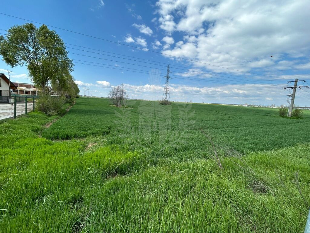 TEREN INTRAVILAN//ZONA CARTIER ROUA PLOIESTI