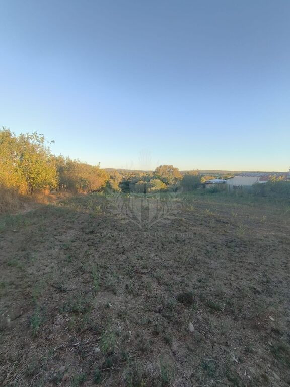 TEREN INTRAVILAN PLOPU//3000 MP