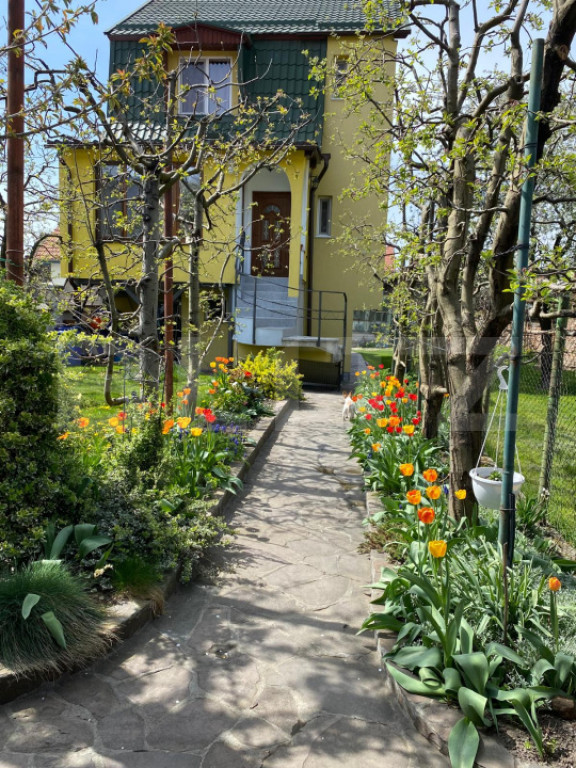 2 Proprietati, 320 mp utili, in centrul Turzii