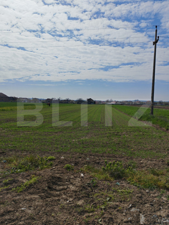 Teren intravilan 1000 mp, in Mihai Viteazu