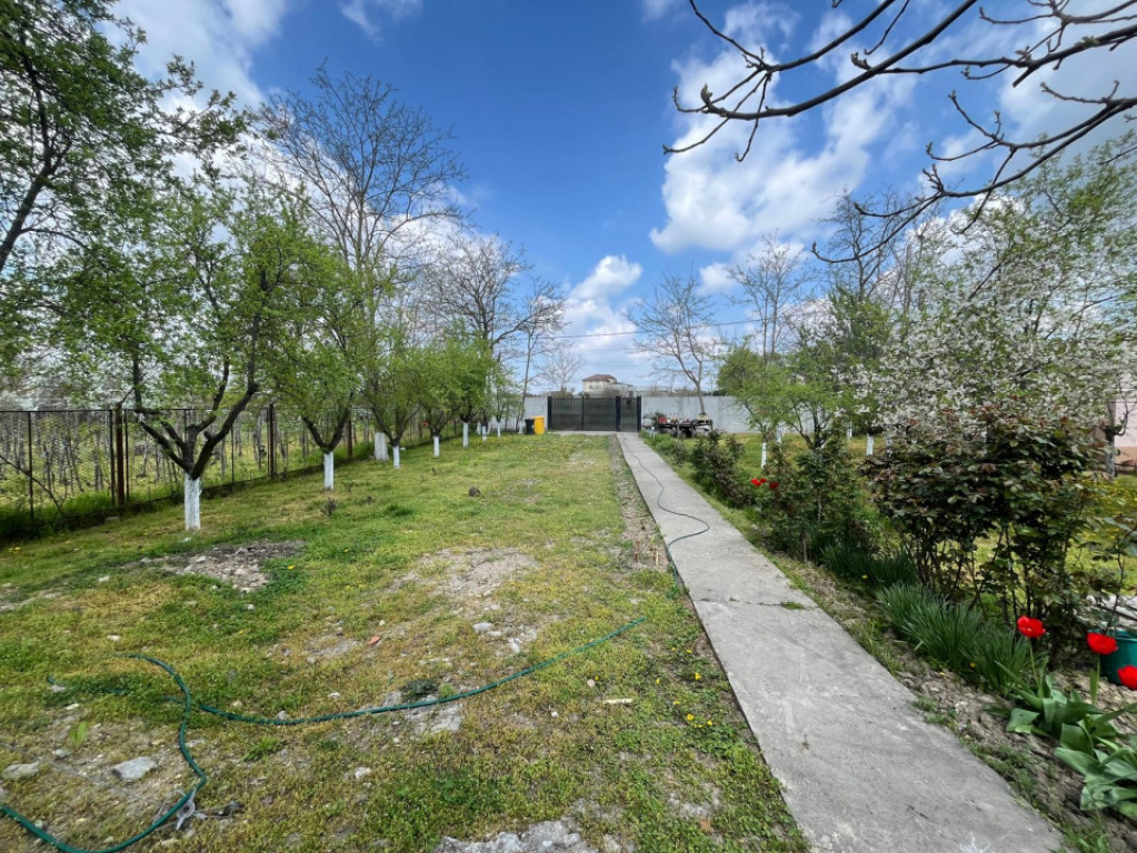 Casă în Malu Mare, teren 2354 mp,curte mare și potențial