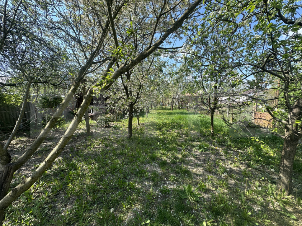 Teren intravilan, 250 mp, zona Bercu Roșu