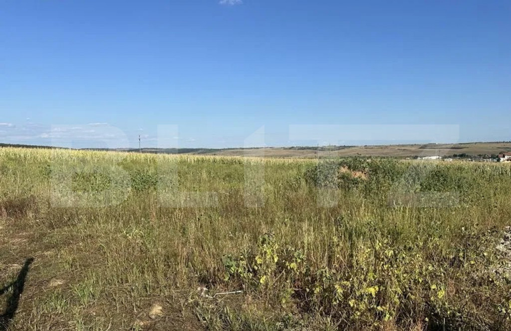 Teren intravilan, suprafata 11500 mp, zona Marghita