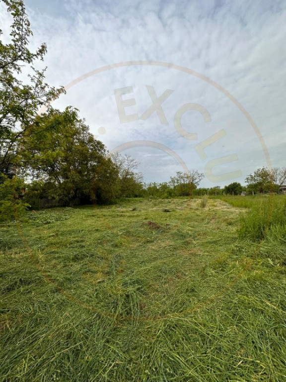 Teren intravilan Prundu - oportunitate excelentă de invest