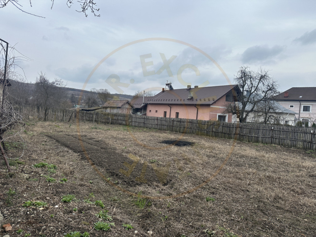 Teren intravilan 1 304 mp - Calinesti- Gorganu-Arges!
