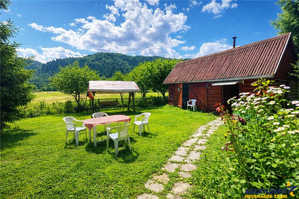 FILM Tur LIVE! Casa de vacanta, intr- o ariere admirabila,Lu