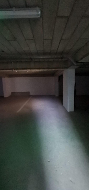 Dimitrie leonida parter solstitiului