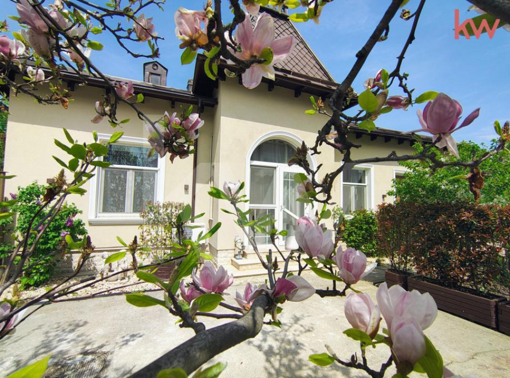 Puskin / Vila Versatila 88 mp – Cabinete / Birouri / After