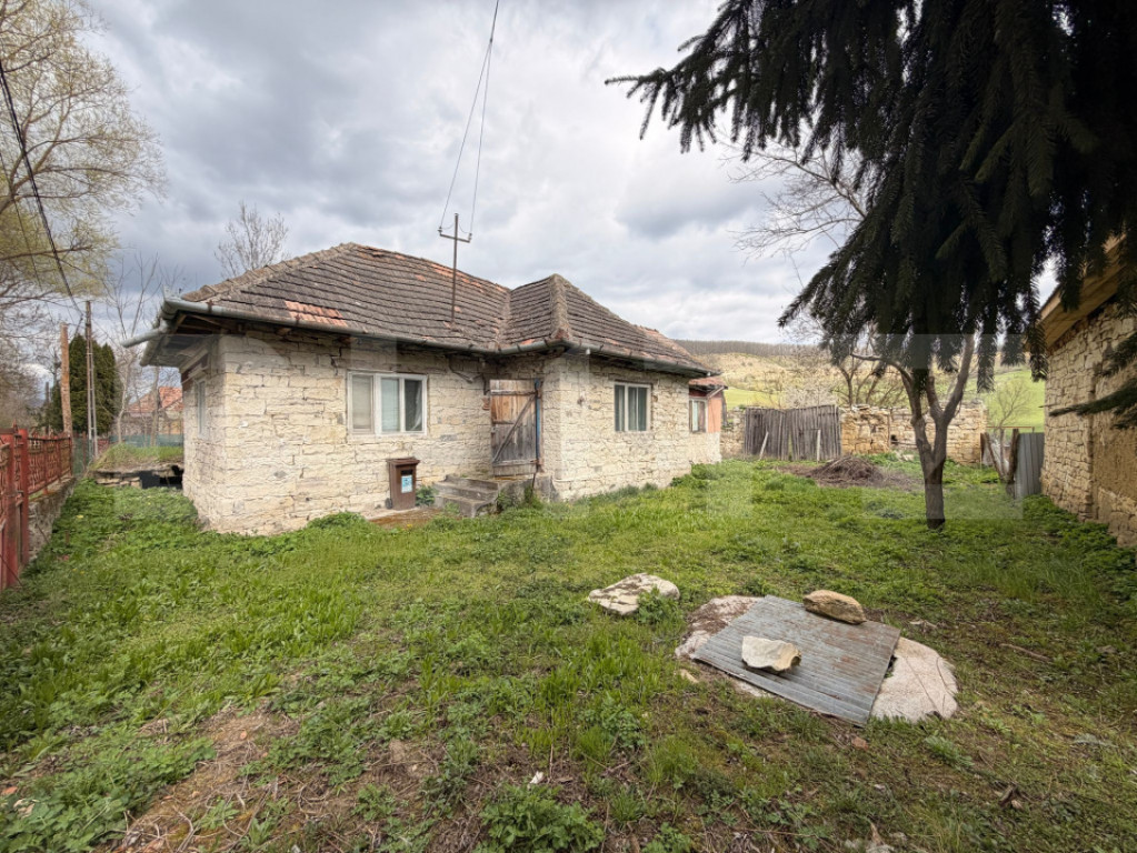 Teren intravilan 2.600 mp + casă, Zonă liniștită, Vultur