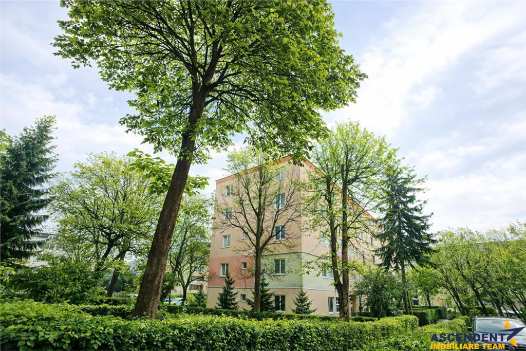 Apartament 2 Camere zona Florilor de renovat