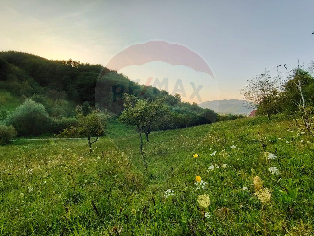 Comision 0! Teren intravilan 2.339 mp Barsana – oferta ...