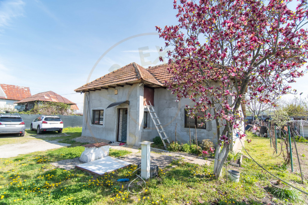 Casa+ teren 1000 mp Merisani, jud. Arges