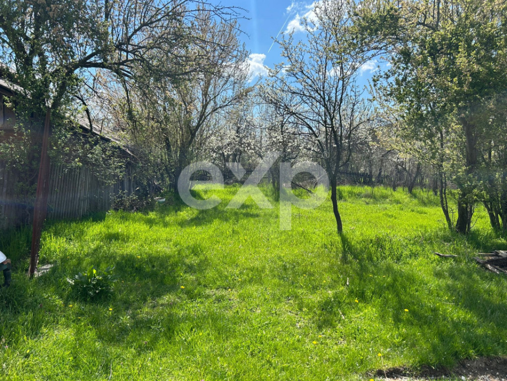 Casă la țară cu teren 3940 mp și livadă – zonă lini?