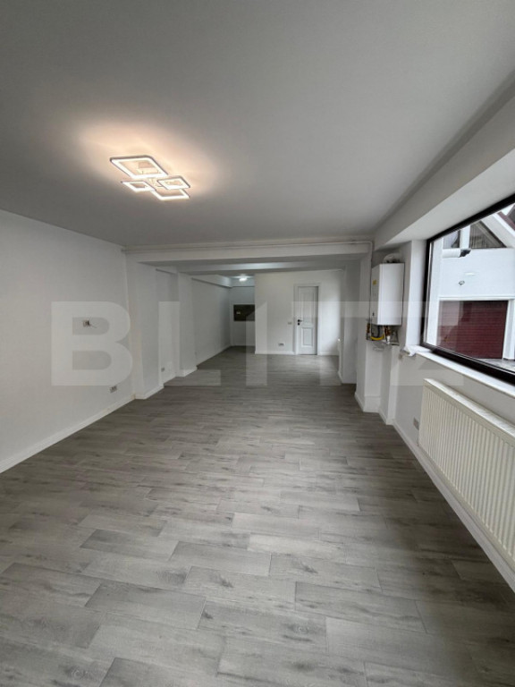 Spații comerciale spre inchiriere, Șcheia la stradă | 47?