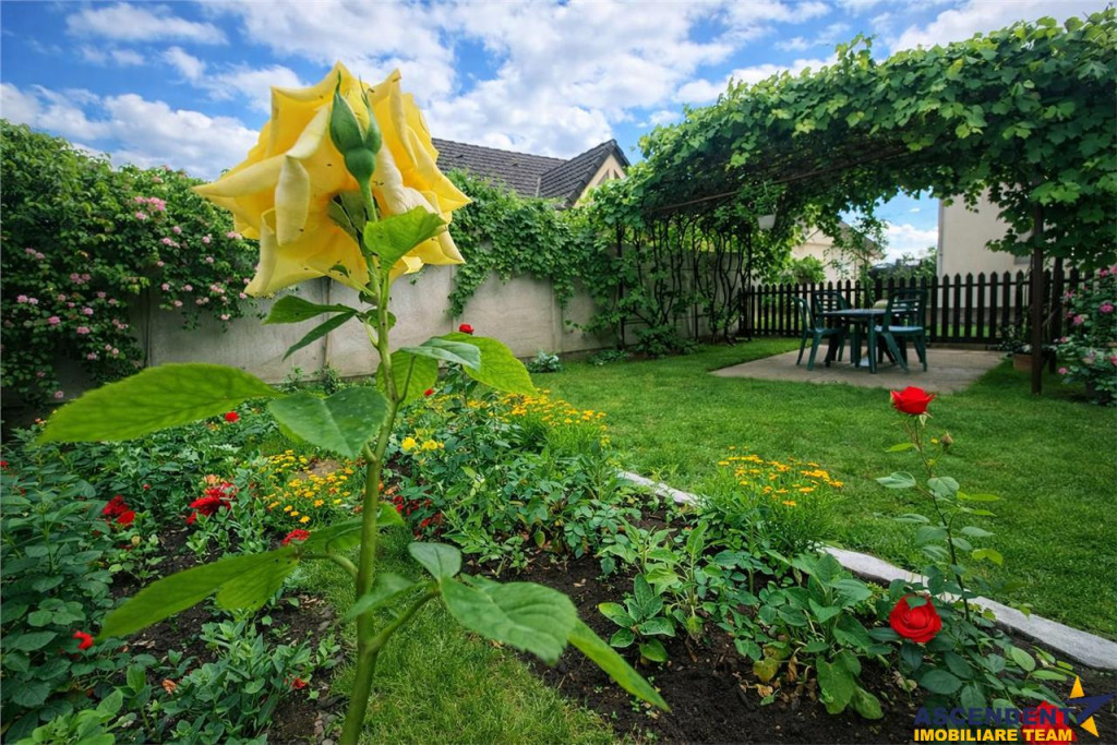 Poveste saseasca la umbra vitei de vie,cu crama,gradina flor