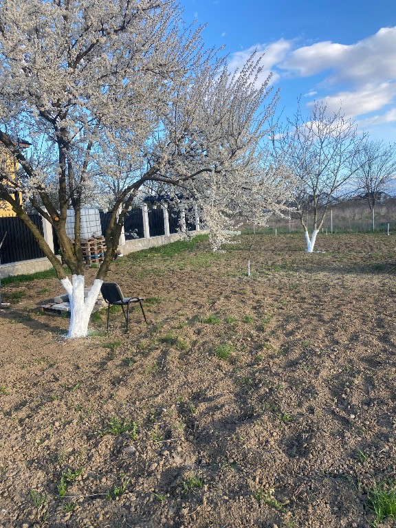 Teren municipiul Bacau