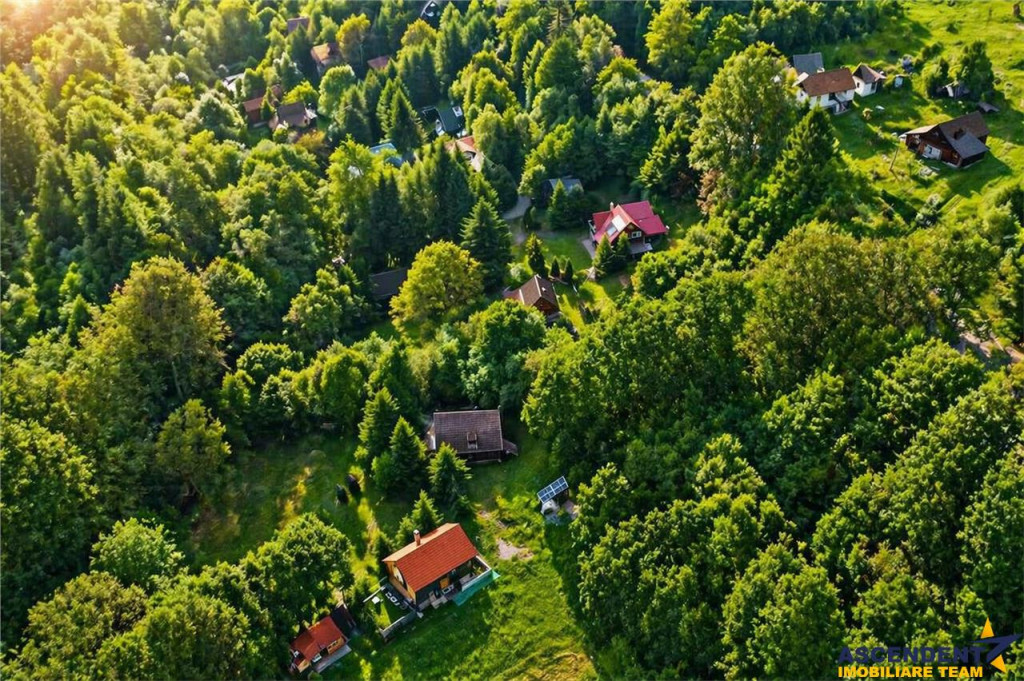 Casa Cabana 2.000 mp teren in miracolul naturii autentice,B