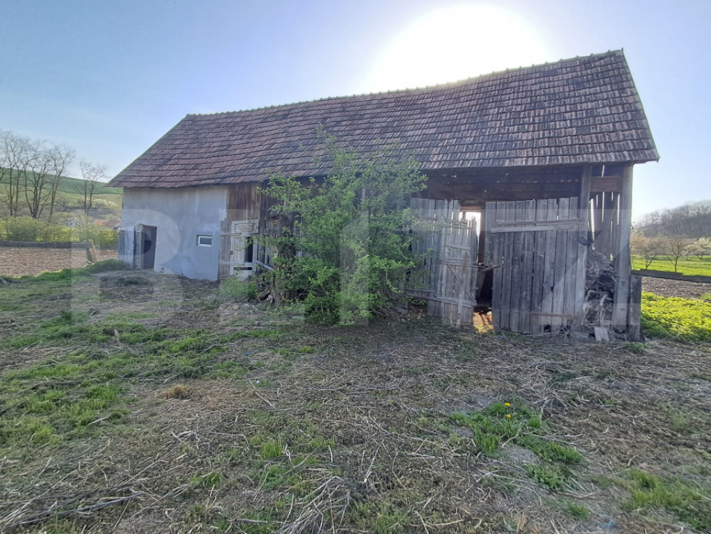 Casă de vânzare la țară – Sat Nandra, Comuna Bichiș,