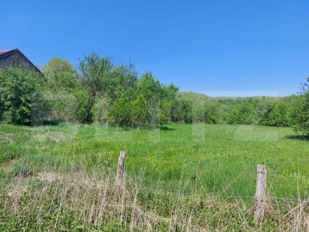 Teren intravilan 2200 mp, acces asfalt, pădure – Cuieș,