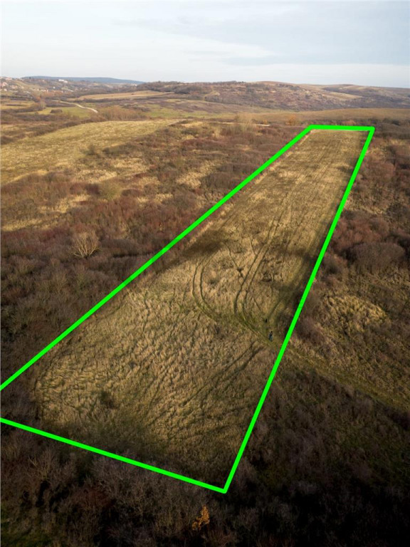 RECO . Teren extravilan . Uileacul de munte