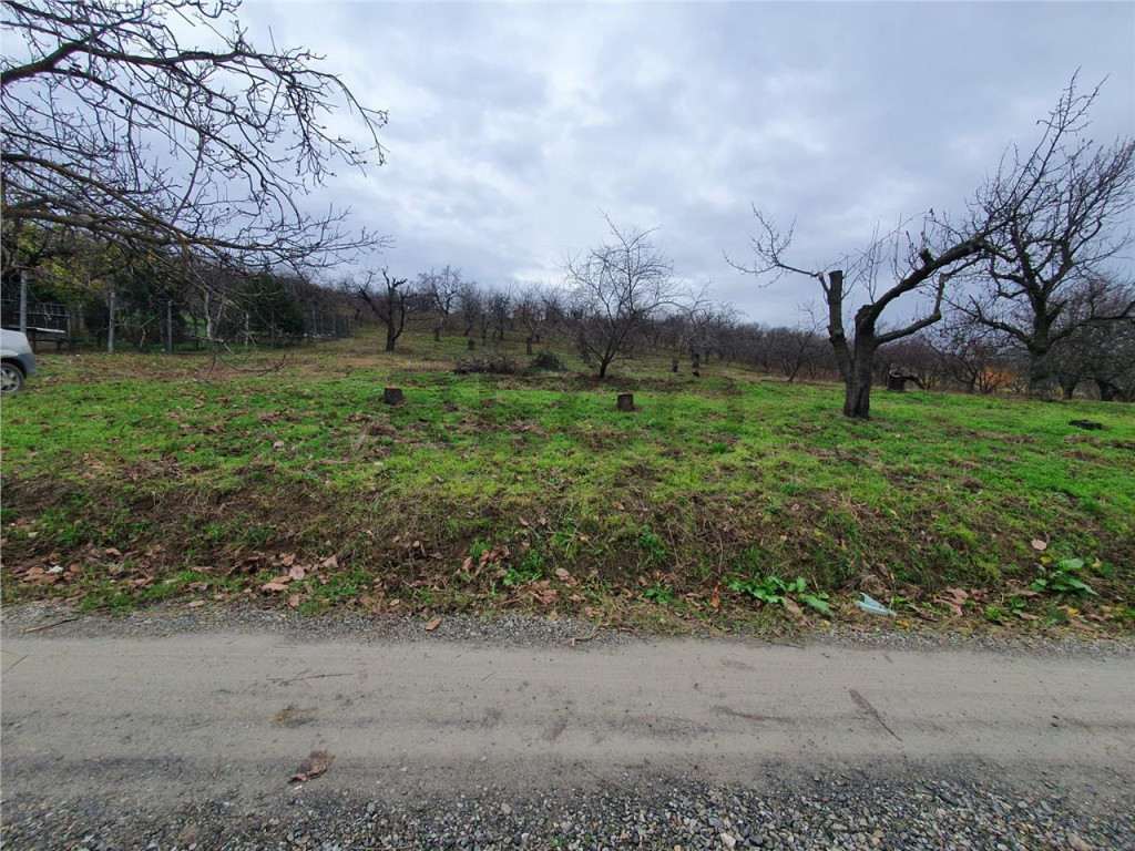 RECO Teren in Oradea