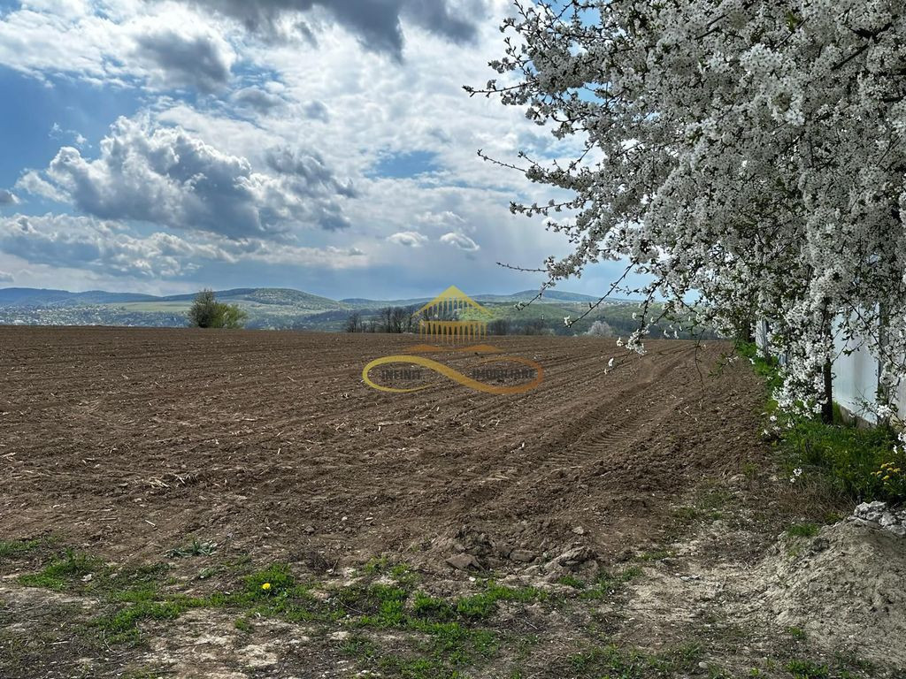 De vanzare doua loturi de teren in Fantanele-Bacau