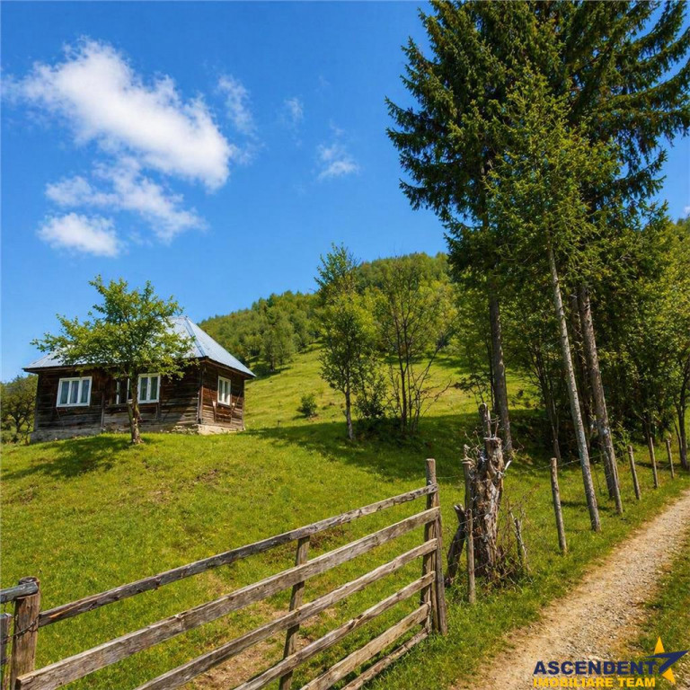 Teren la poalele padurii,Buzaiel,Vama Buzaului,DJ,constructi