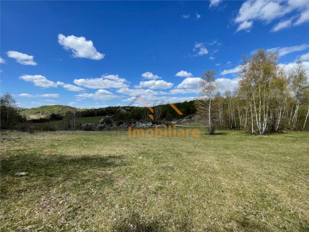 TEREN EXTRAVILAN | 103.000mp | BALANACA-GROSI | PASUNE | PAS