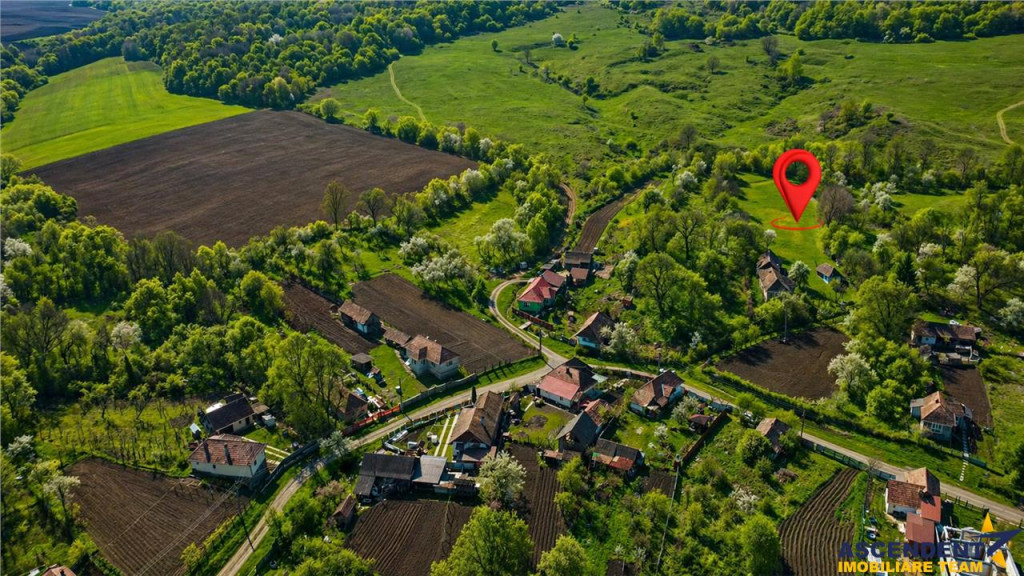 Domeniu de 3.400 mp cu traditionala casa, Suveica, Acatari M