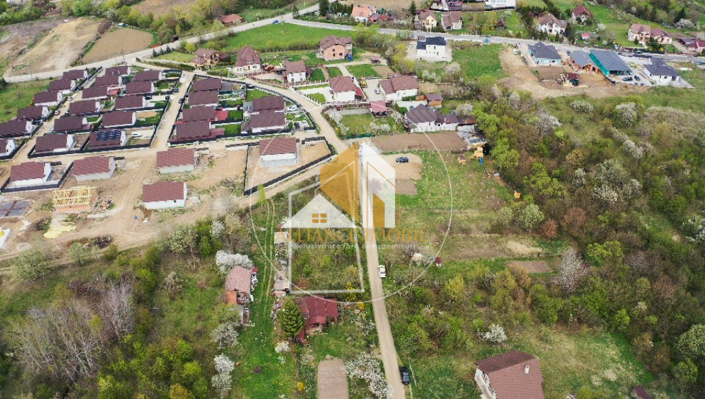 Teren extravilan de vânzare –ideal pentru casă sau parce
