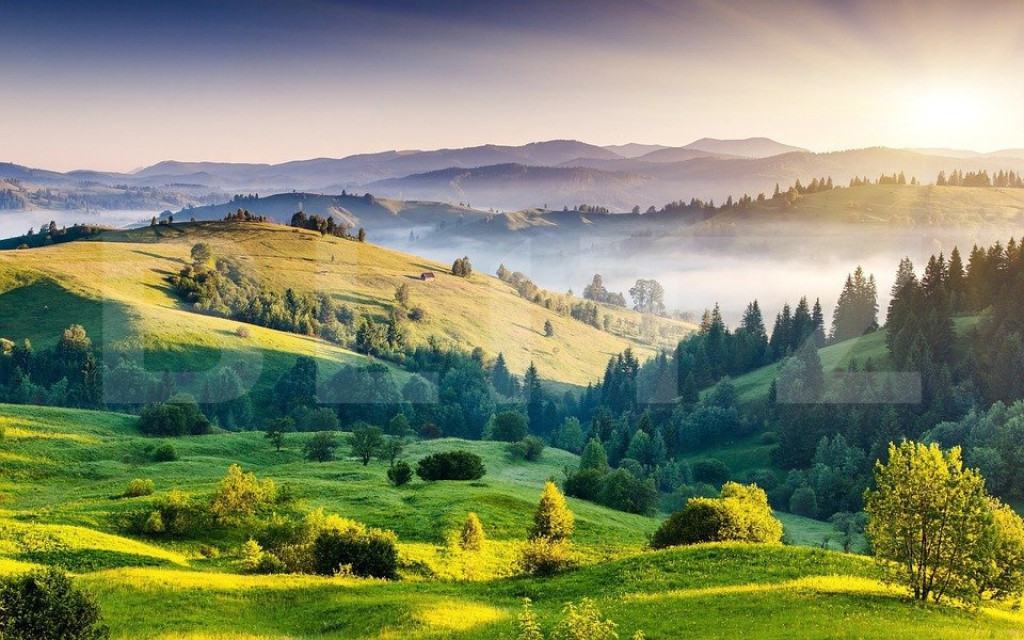 Teren agricol, comasat, irigat, 755000 mp, lanaga autostrada