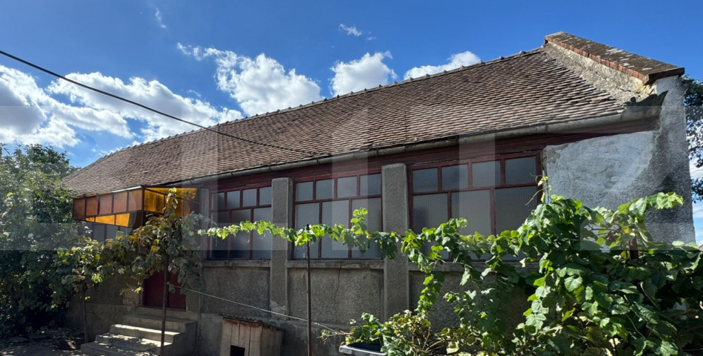 Casă veche cu teren generos în vatra veche Șag
