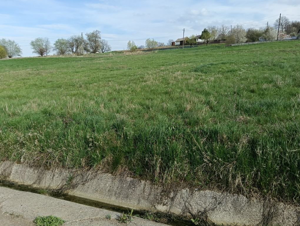 Teren Intravilan 20 Ari – Zvoristea-Stanca, Suceava la