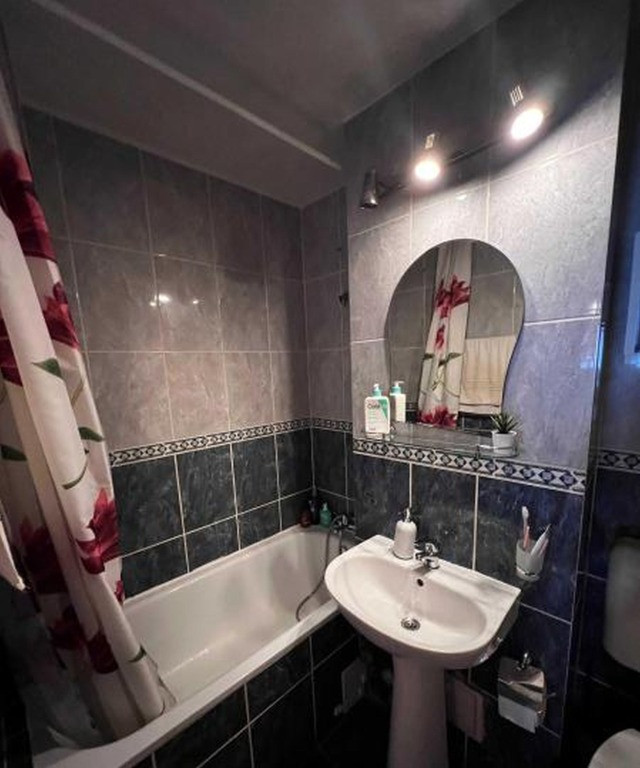 Dristor vitan etaj 2 agata barsescu