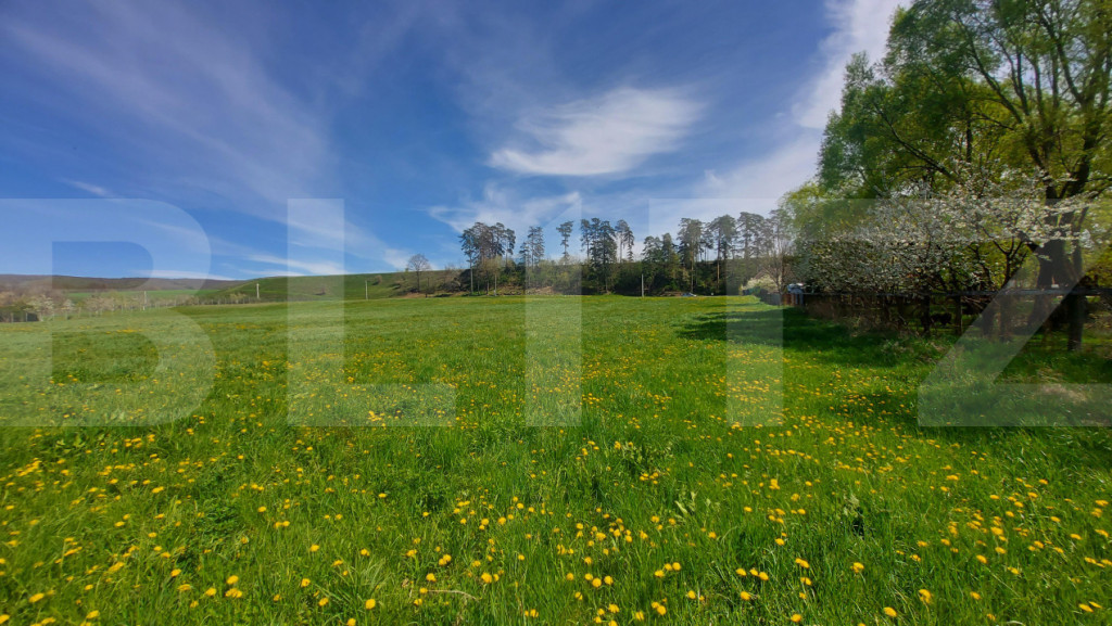 7000 mp teren intravilan in Ghidfalau I Pe malul Oltului I O