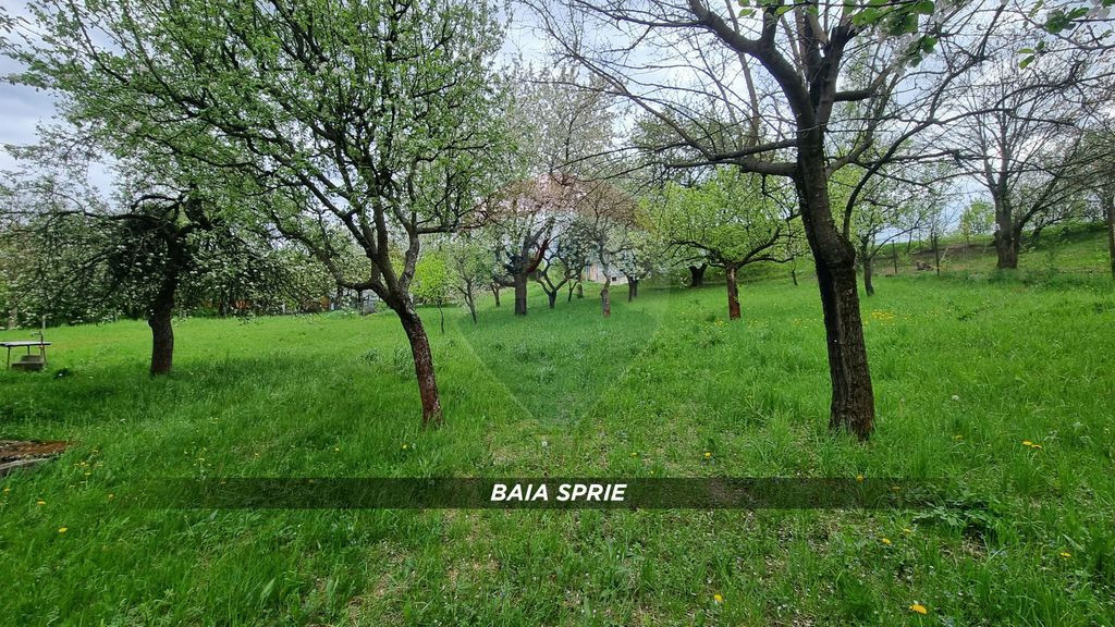 Teren in Baia Sprie de vanzare | Strada Closca