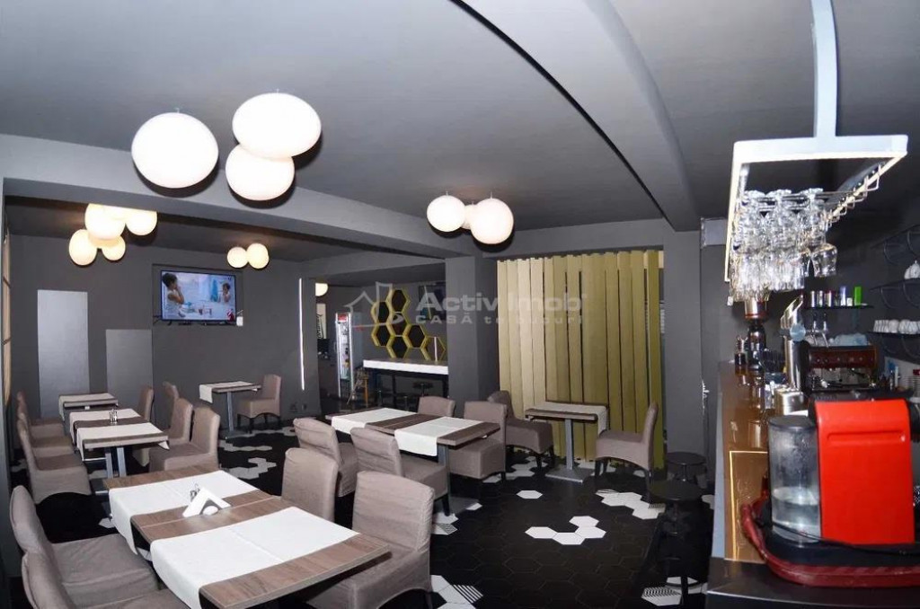 #206;nchiriere Vila Spatiu Comercial-Zona Armeneasc#259;