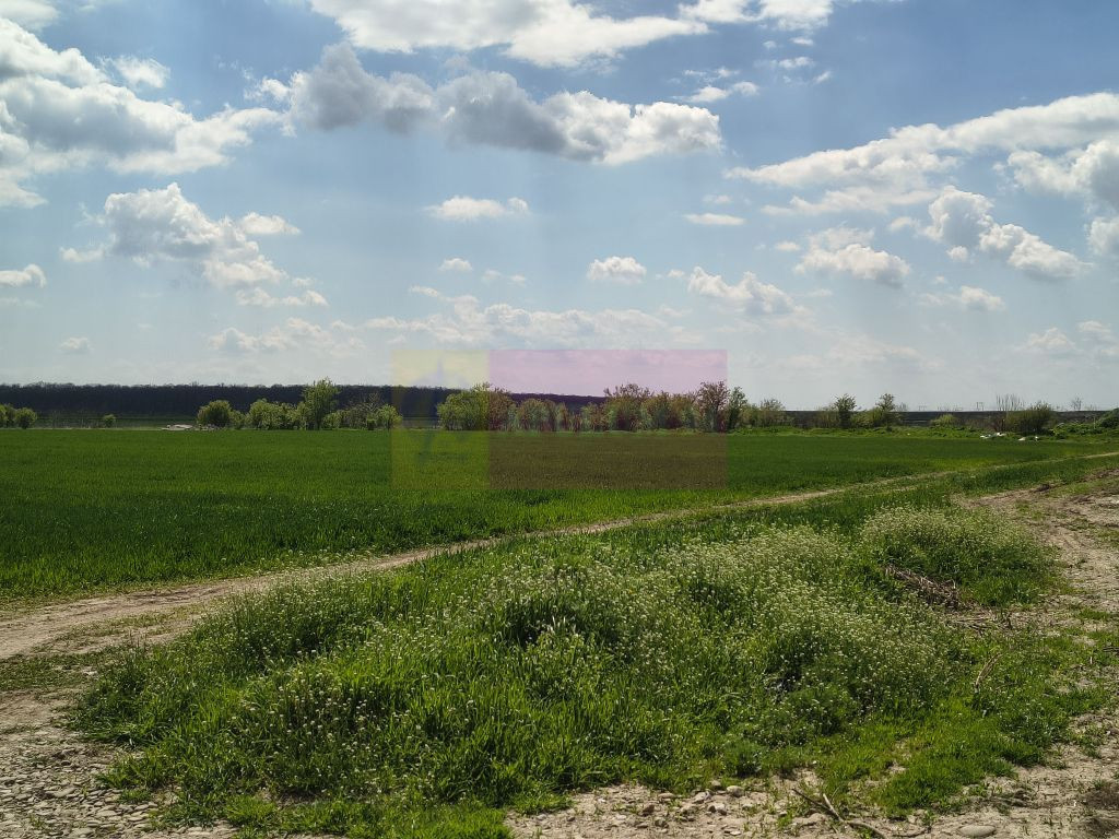 Poșta -Teren 12.450mp pretabil hală/rezidențial la 150...