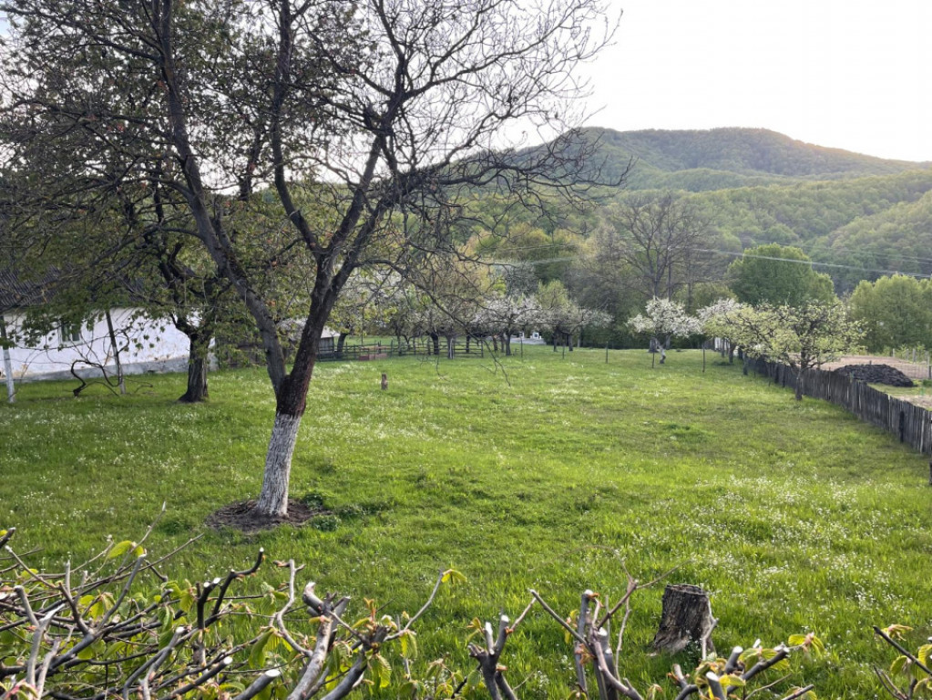 FIRIZA, oportunitate teren pentru constructie Casa