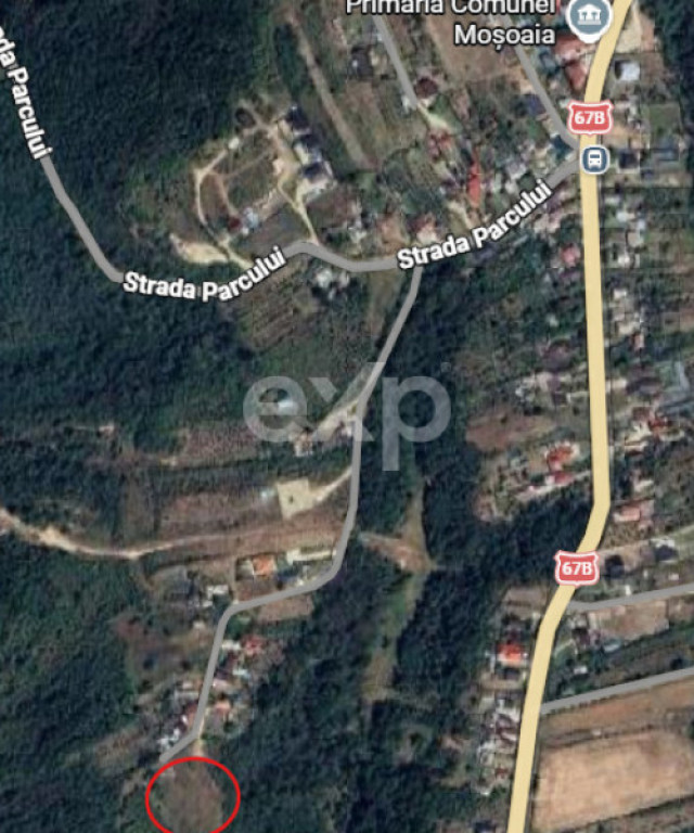 Teren 3015 mp Moșoaia – lângă pădure, capăt de drum,