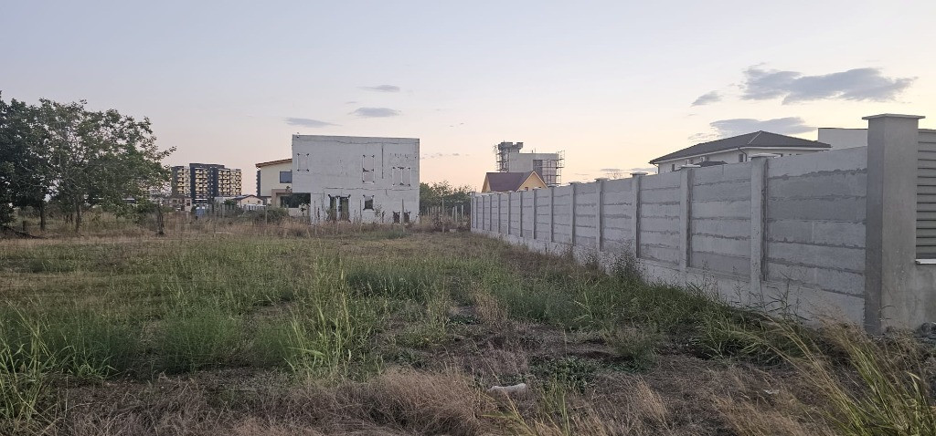 Veterani 500 mp , Alexandru Averescu