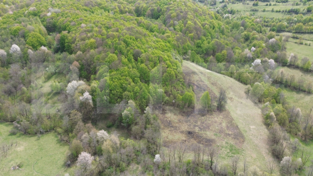 Teren extravilan 3.38 ha, zonă naturală superbă, Almasu M