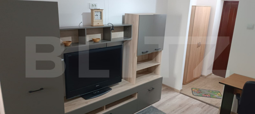 GARSONIERA 1 CAMERA Alexandru Cel Bun