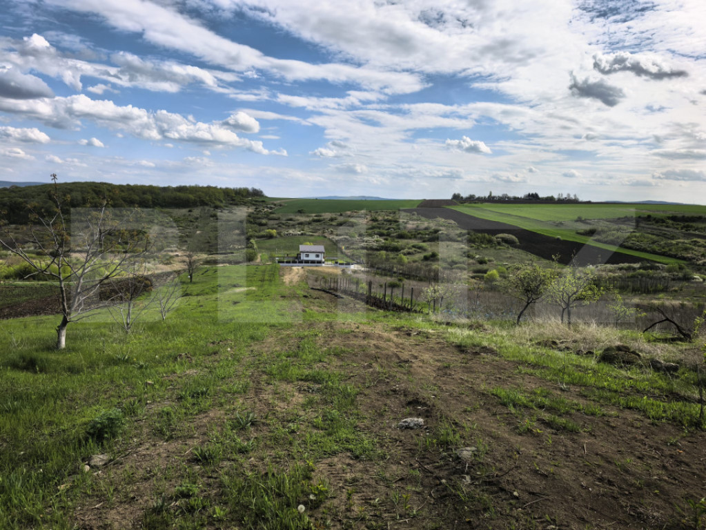 Teren 500 mp intravilan Valea Ursului